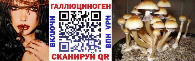 Галлюциногенные грибы ЛСД  кракен ONION  Георгиевск 