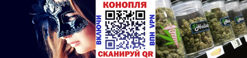Бошки Шишки White Widow Георгиевск